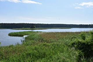   Drewniana kładka wokół malowniczego stawu. Niezwykła atrakcja w Mazurskim Parku Krajobrazowym [ZDJĘCIA]