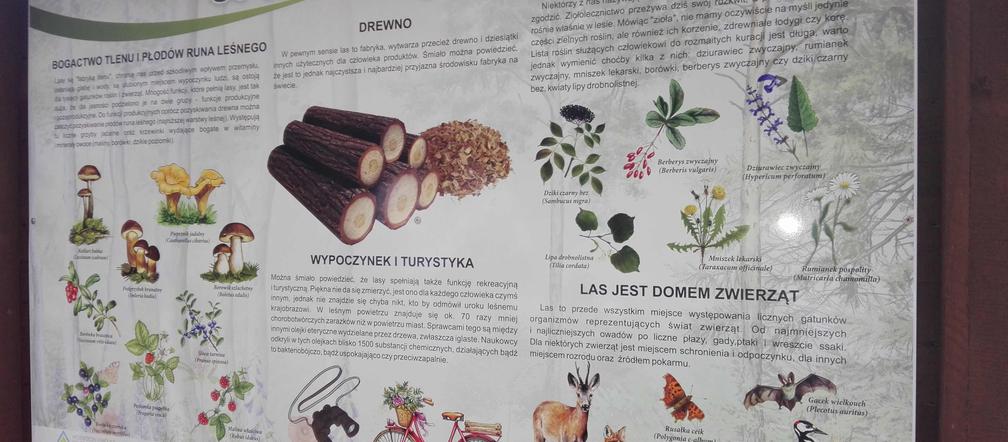 Ścieżka edukacyjna nad jez. Głębokim