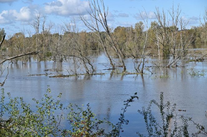 Przekroczone stany alarmowe na Odrze