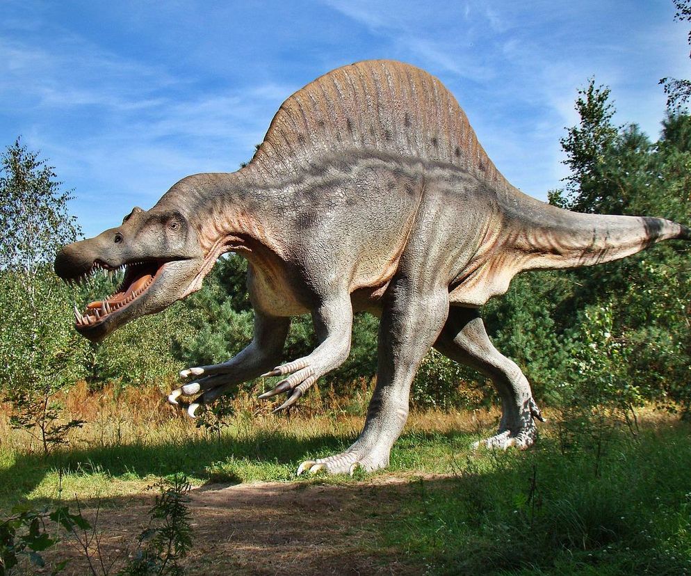 Pierwsze Dinoworld w Białymstoku. W weekend otwarcie parku dla fanów dinozaurów!