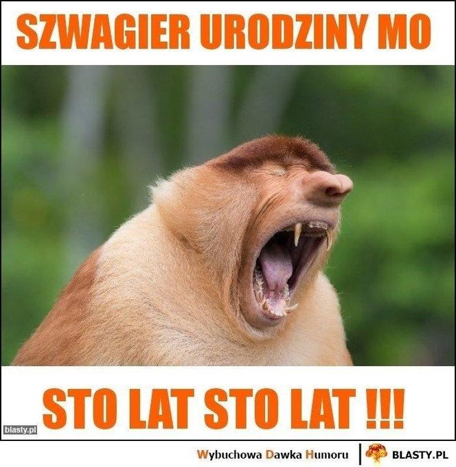 Memy na Dzień Szwagra 