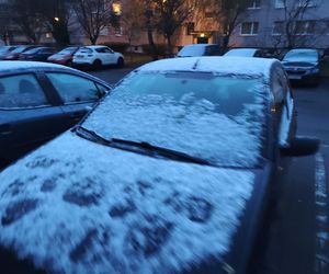 Pierwszy śnieg spadł w Poznaniu i okolicach