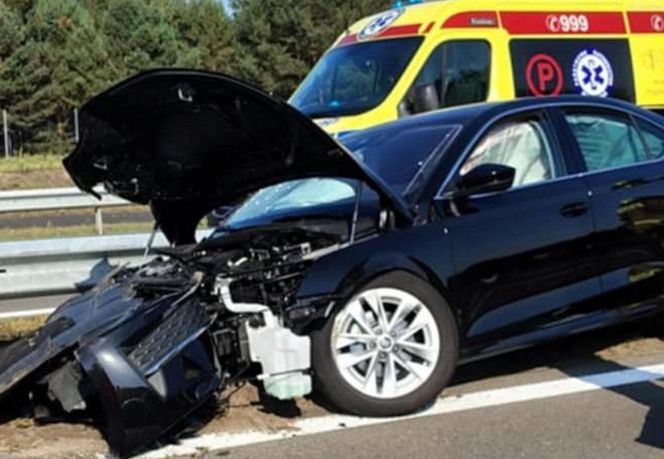 Jeżowe. Śmiertelny wypadek na S-19. Nie żyją kobieta i mężczyzna ze skody [ZDJĘCIA]