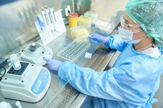 Nowy wirus po raz pierwszy zdiagnozowany u człowieka. Nowa świńska grypa?