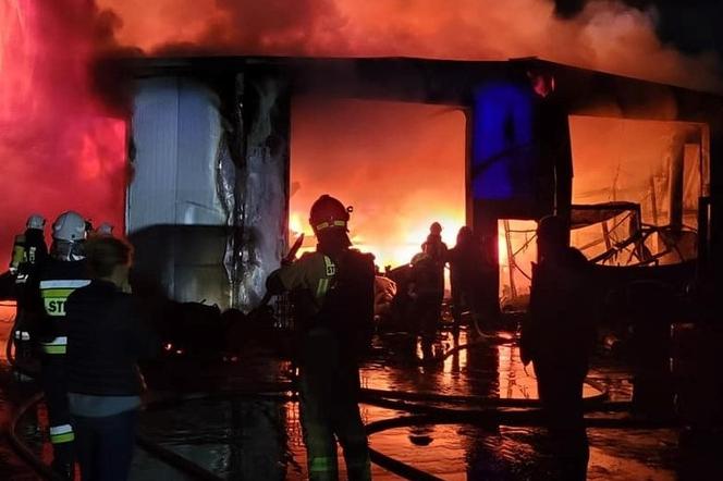 Spłonęła hala magazynowa w Grodzisku. Pożar gasiło nocą wiele zastępów straży