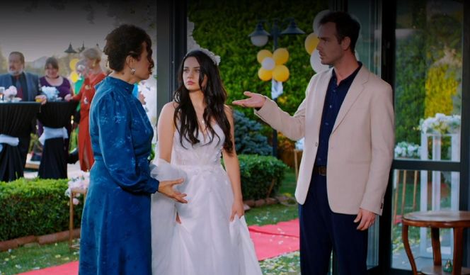 Miłość i nadzieja odc. 273. Bahar, Cavidan, doktor Levent