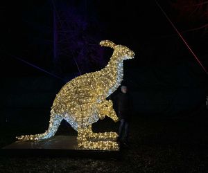 Park Miliona Świateł w Orientarium Zoo Łódź