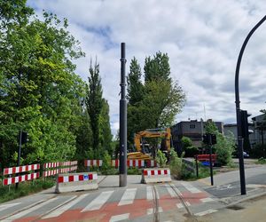 Torowisko tramwajowe na Babiej Wsi w Bydgoszczy zarośnięte chwastami. Tramwaje zniknęły stąd lata temu