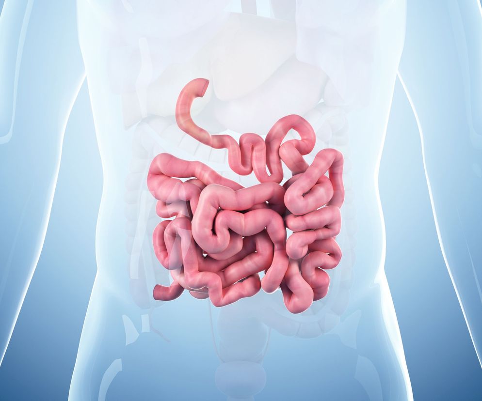 Rak jelita cienkiego: przyczyny, objawy, leczenie i rokowania