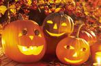 Dynia na Halloween - wzory