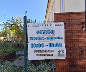 Jak smakują koszerne gołąbki? Dlaczego Żydzi nigdy nie użyją karczochów? Przyjdź na warsztaty koszernej kuchni