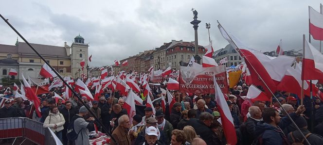 Marsz PiSu w Warszawie