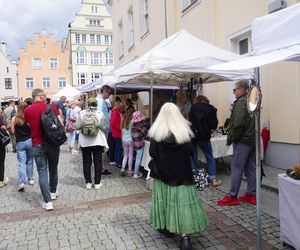 Dni Olsztyna 2025. Dziesiątki wystawców i setki olsztynian na Jarmarku Jakubowym