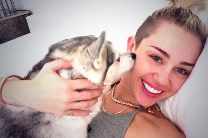 Miley Cyrus: Floyd był jej ukochanym pieskiem :( ZDJĘCIA