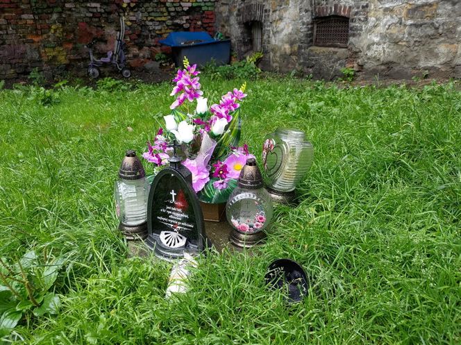 Horror na imprezie. Krystian został znienacka skatowany. Bandzior skakał mu po głowie