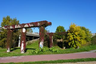 Filary porośnięte bluszczem w Lublinie! Tak się prezentują w jesiennej odsłonie