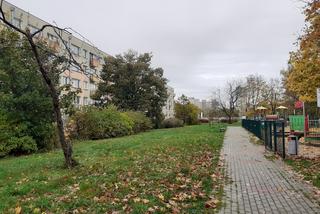 Parki kieszonkowe w Toruniu. Mieszkańcy wybierają miejsca [AUDIO]