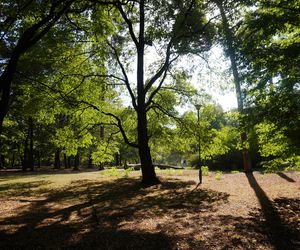 Park Konstytucji 3 Maja