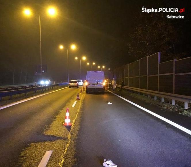 Katowice. ŚMIERĆ zebrała żniwo na drogach. Policjanci apelują do mieszkańców