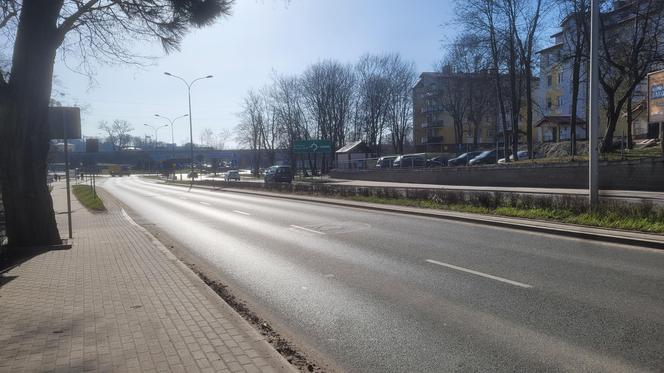 Tak źle jeszcze nie było? Olsztyn cały zaśmiecony. „Jest to problem dla właścicieli zwierząt i turystów”