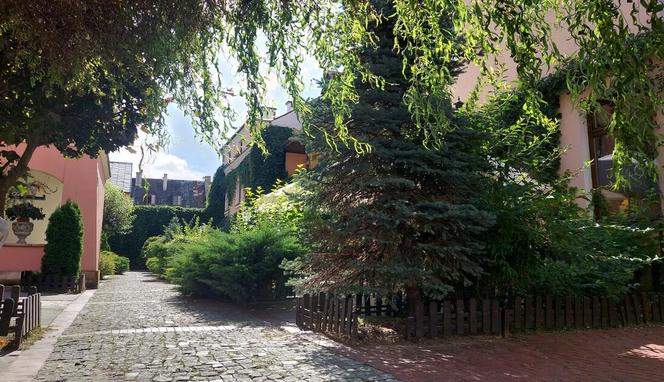 Urokliwe podwórka zamojskiej starówki