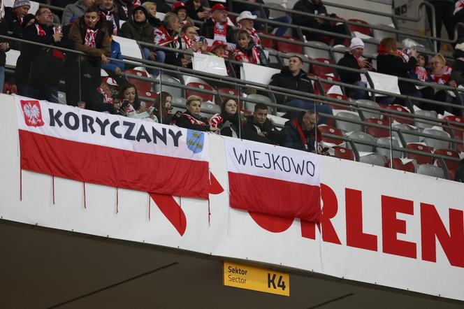 Mecz Polska- Czechy. Zdjęcia z trybun 