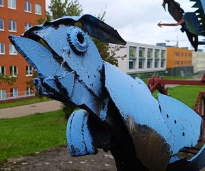 Płonące Ptaki w Koszalinie