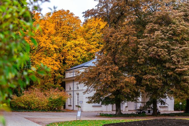 Łazienki Królewskie w Warszawie jesienią