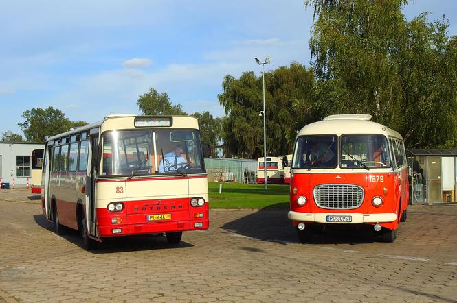 Zabytkowy autosan z Leszna kursować będzie po Poznaniu