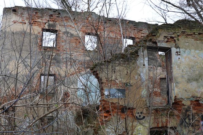 Spacer doliną Bystrzycy na lubelskim Wrotkowie