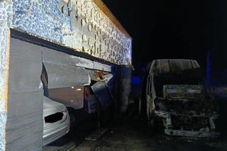 W Zalesiu aspłonęły busy. To mogło być podpalenie.