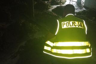 Policjanci zatrzymali mężczyzn uprawiających plantacje marihuany za 2 mln zl