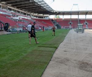 Nowa murawa na stadionie Widzewa