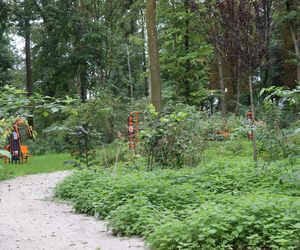 Zabytkowy park pod Lubawą zmienił się nie do poznania. Teraz wygląda jak z bajki
