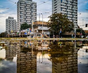 Sedesowce Wrocław