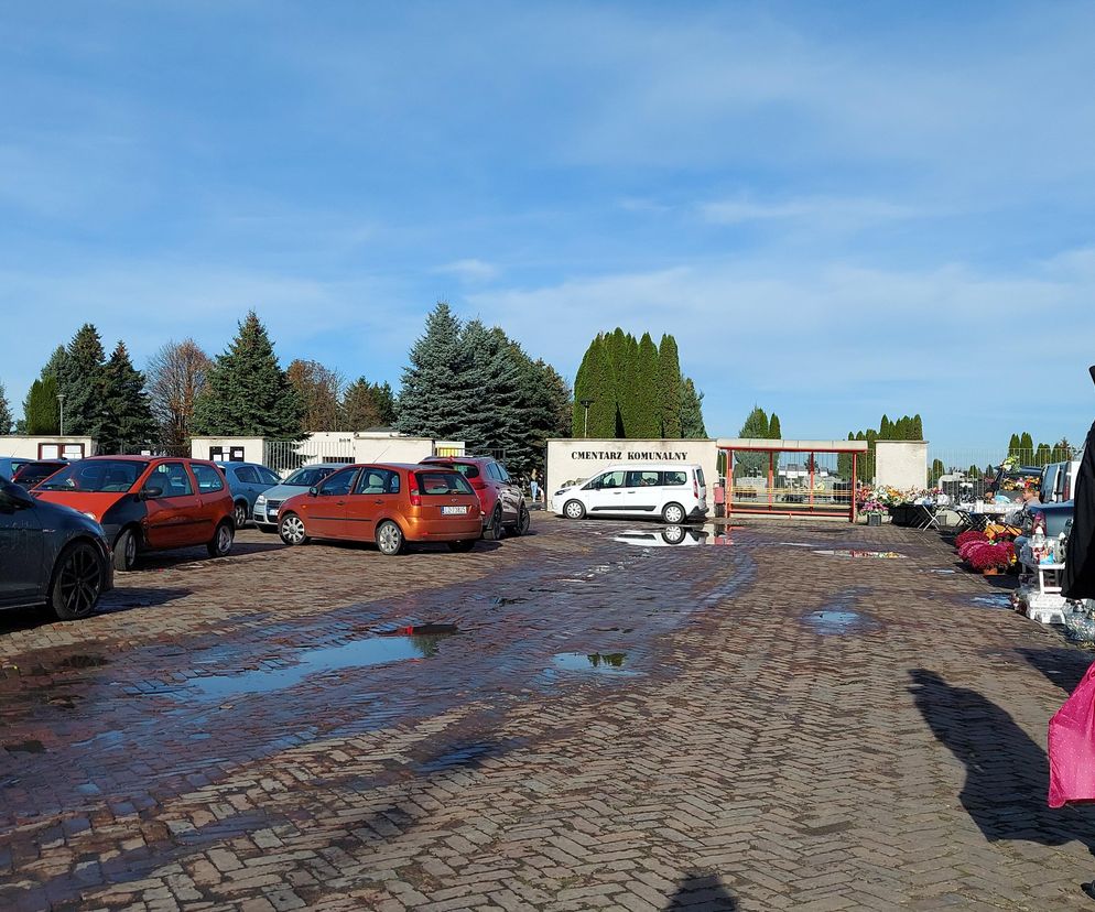 Zmiany w organizacji ruchu w okresie Wszystkich Świętych w Zamościu i  w powiecie zamojskim. 