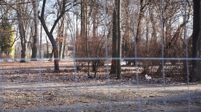 Zakaz wstępu do jednego z najstarszych parków w Lublinie. Teren został ogrodzony