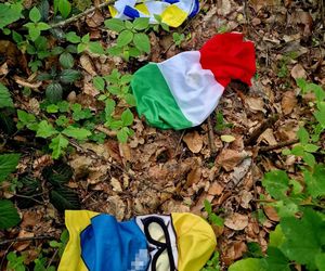 Ustawka udaremniona! Policjanci gonili kiboli po lesie!