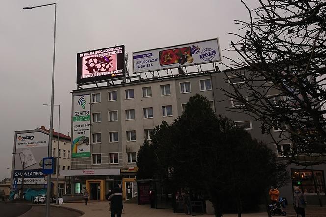 gorzów aborcja filmik1