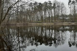 Ochrona żab na Barbarce