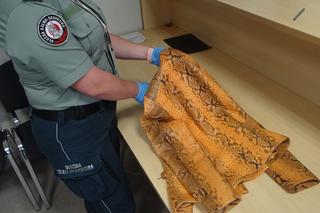 Najnowsza zdobycz pograniczników z Medyki? Kurtka ze skóry pytona