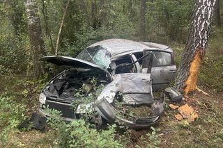 Wieliczna: Auto wypadło z drogi, dwie osoby zabrane do szpitala