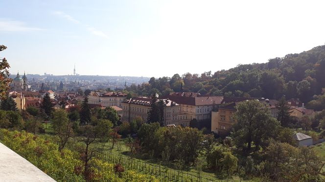 Praga w Czechach