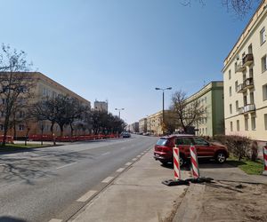 Historia wśród drzew! Tak żyje się na osiedlu Leśnym w Bydgoszczy