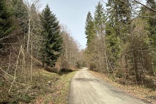 Ukryty szlak turystyczny pełen atrakcji. Nie każdy zna to miejsce w Małopolsce [GALERIA]