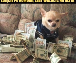 Memy komunijne