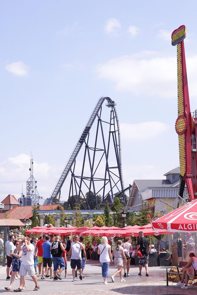 AI wybrała najlepszy park rozrywki w Małopolsce. To europejski fenomen!