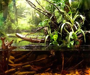 Rozmawiamy z Tomaszem Wiśniewskim, założycielem Aqua Dreams Bydgoszcz