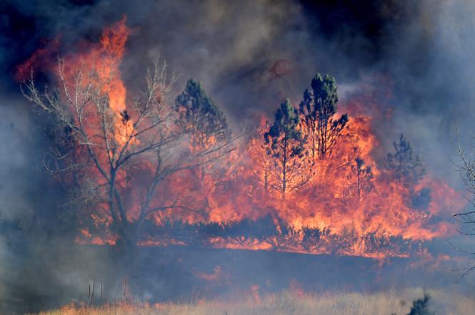 Pożary w stanie Kolorado