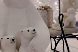 Klaudia Halejcio wydała fortunę na Święta 